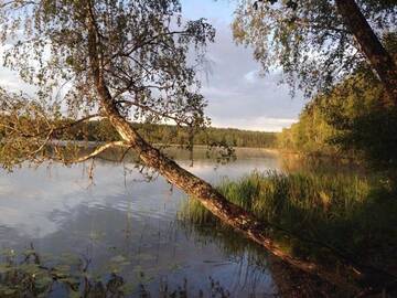 Фотографии Загородные дома Asvejos slenis г. Sužionys (Литва) №4 Фото Загородные дома Asvejos slenis г. Sužionys 4
